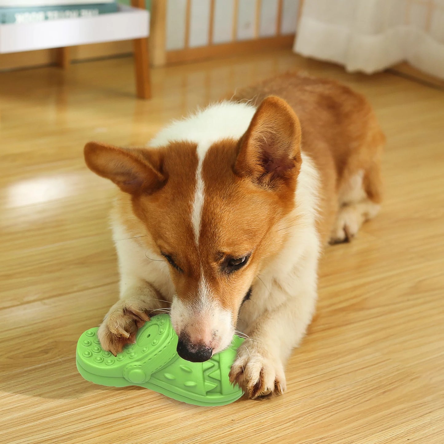 Squeaky Chew Shoe & Teeth Cleaning Dog Toy