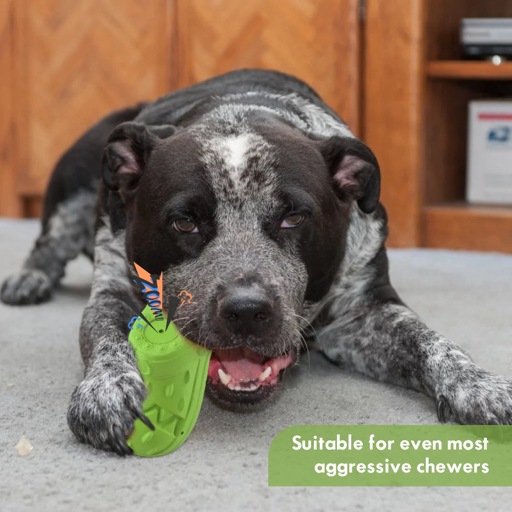 Squeaky Chew Shoe & Teeth Cleaning Dog Toy